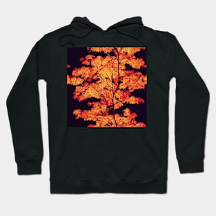 Autumn Love, Six: Hoodie